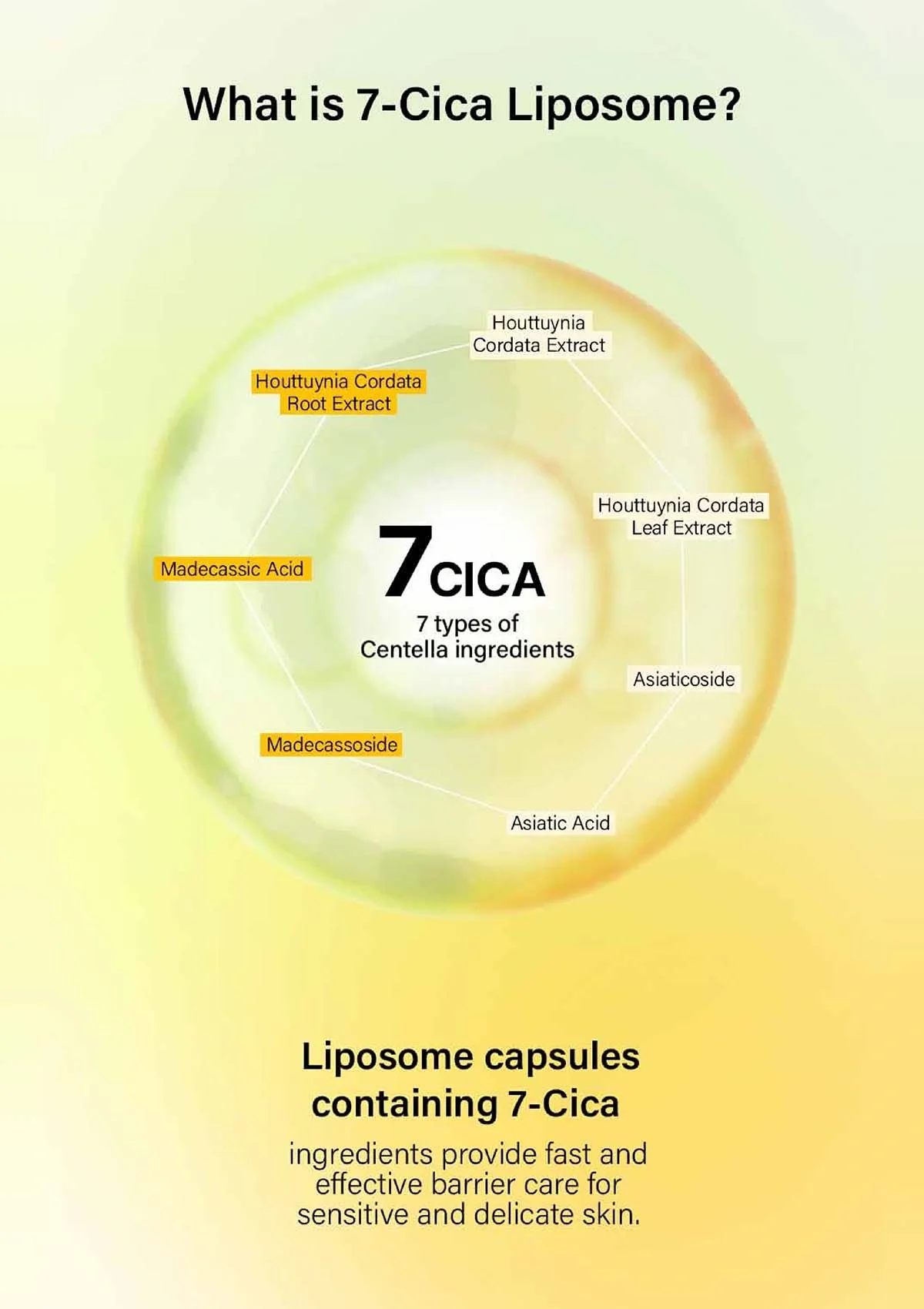 [AIDA] Liposome Moisture | Glutathione Brightening | Propolis Calming Ampoule - Image 38