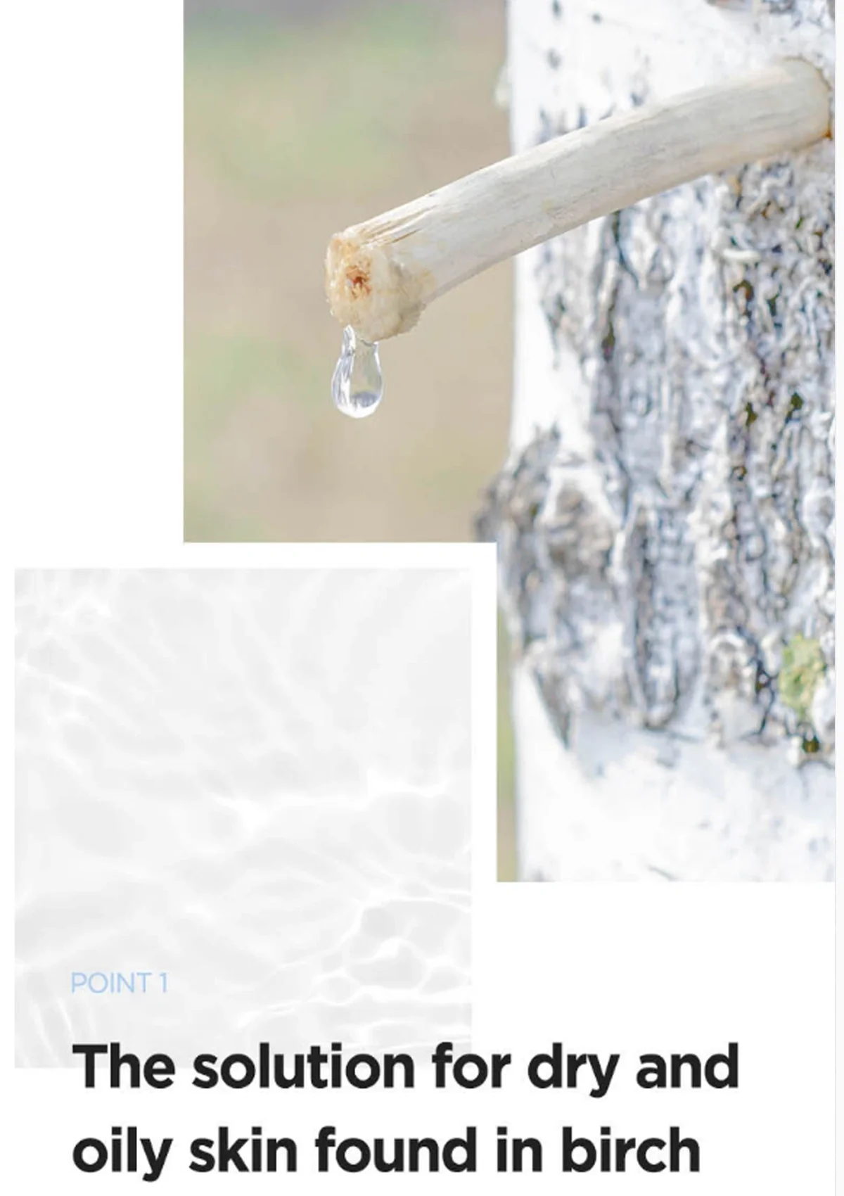 [ANUA] Birch Moisture Boosting Toner 250ml - Image 6