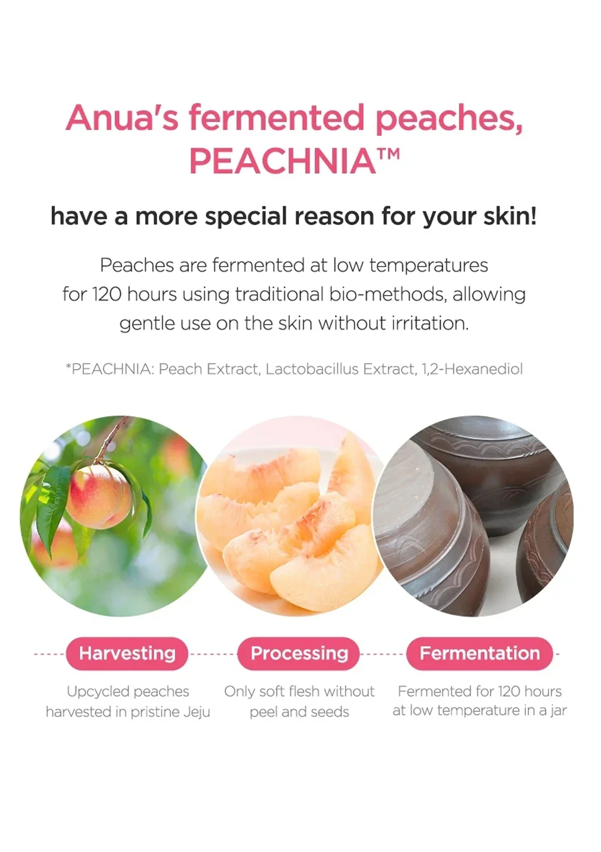 [ANUA] Peach 77% Niacin Conditioning Milk 150ml - Image 9