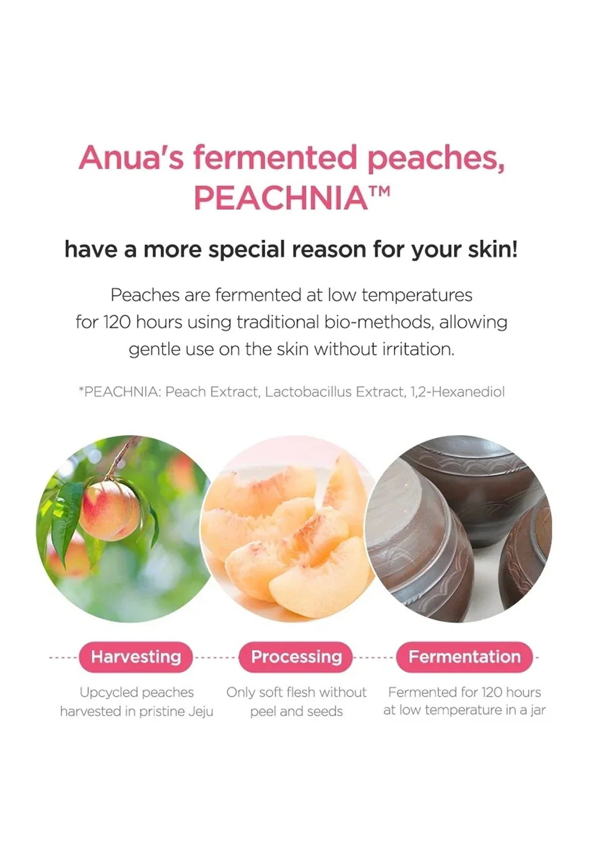 [ANUA] Peach 77% Niacin Enriched Cream 50ml - Image 12