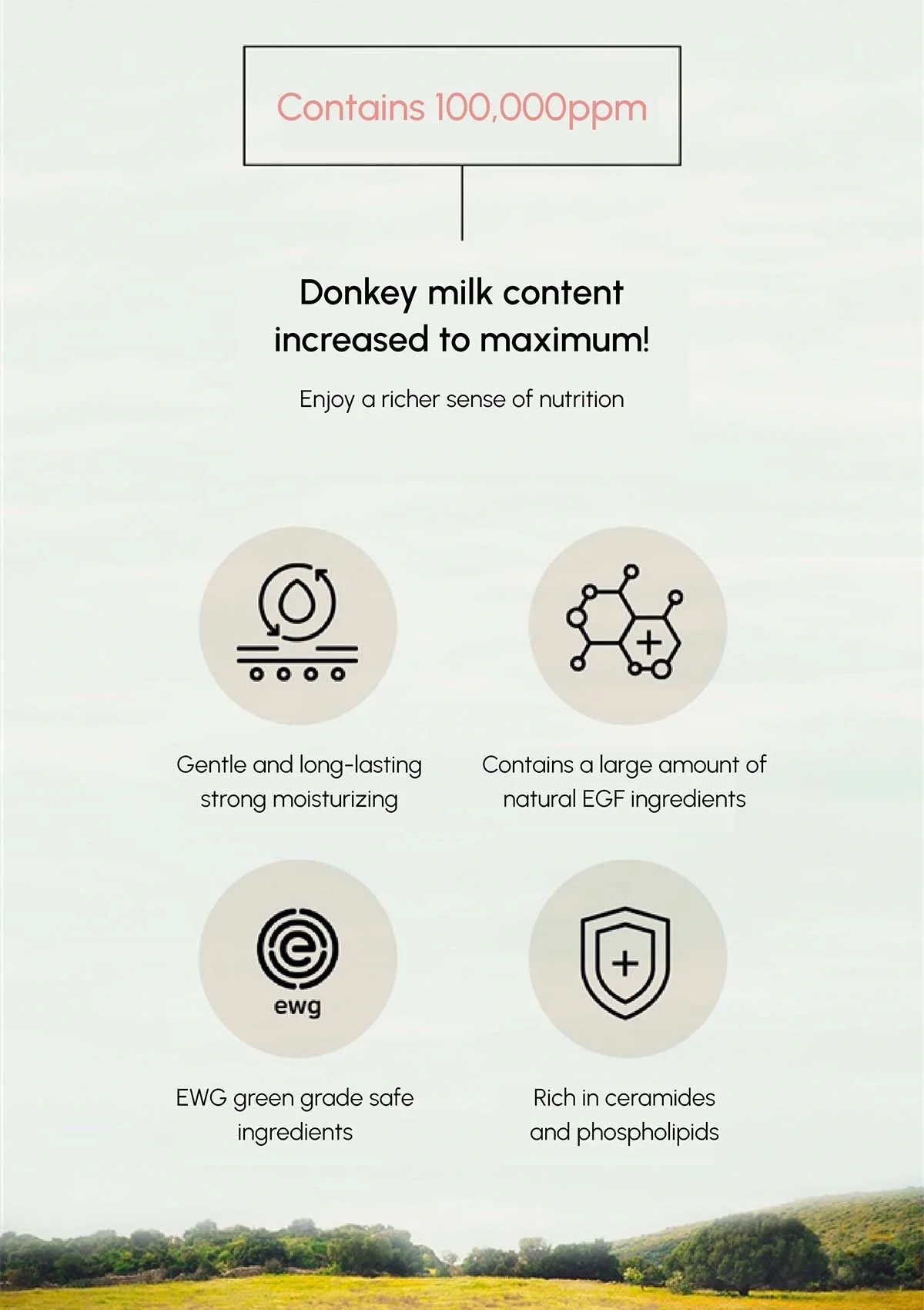 [BLANC DUBU] Nuborn Cell Donkey Milk Collagen Cream 65ml - Image 6