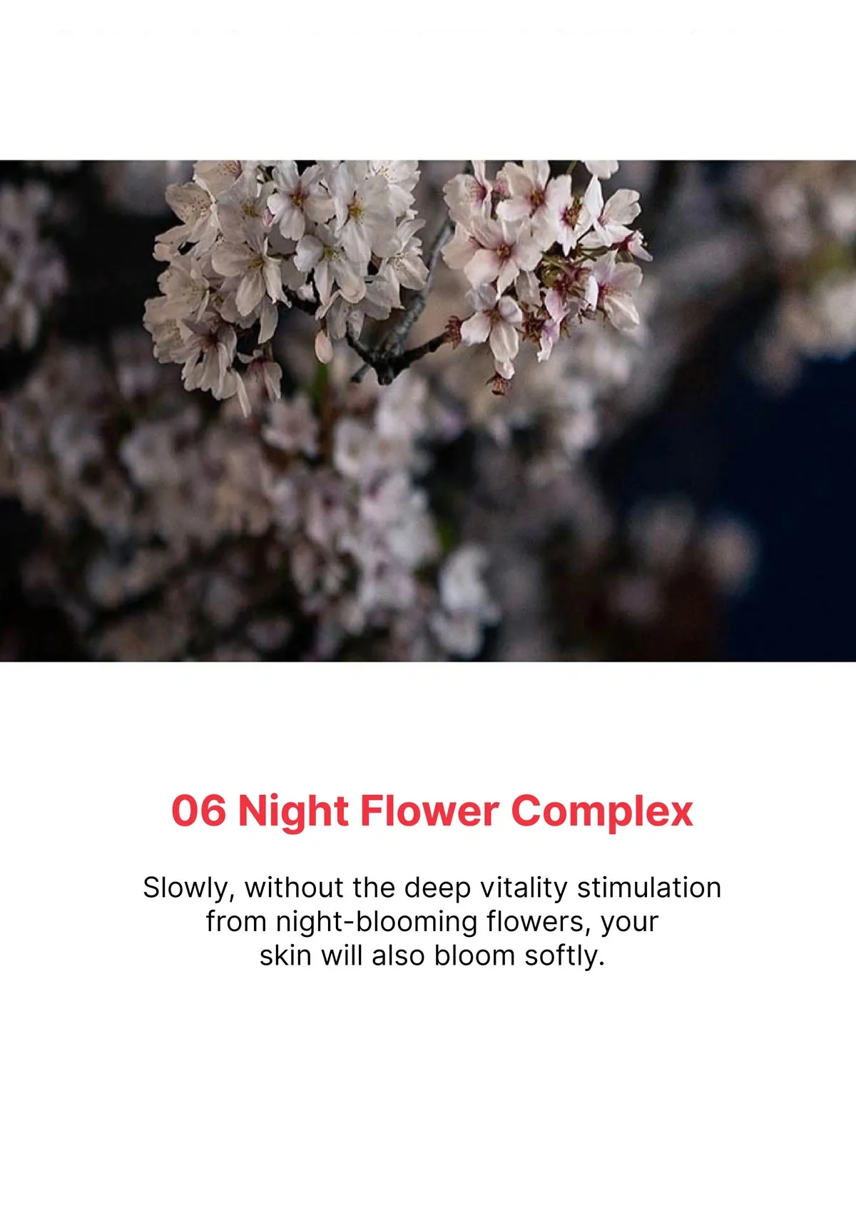 [EVERY ROUTINE] DermaRix Cream 50g - Image 12