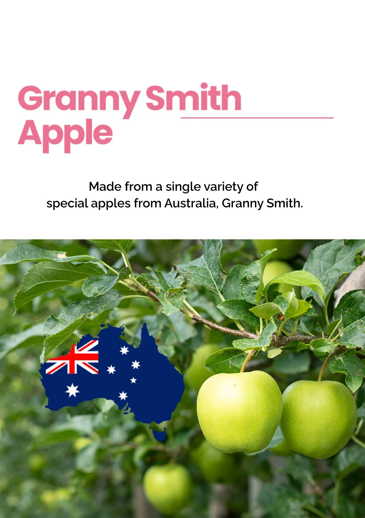 [FITANY] Granny Smith Skinny ACV (1 Box = 700mg x 60 tablets) - Image 12