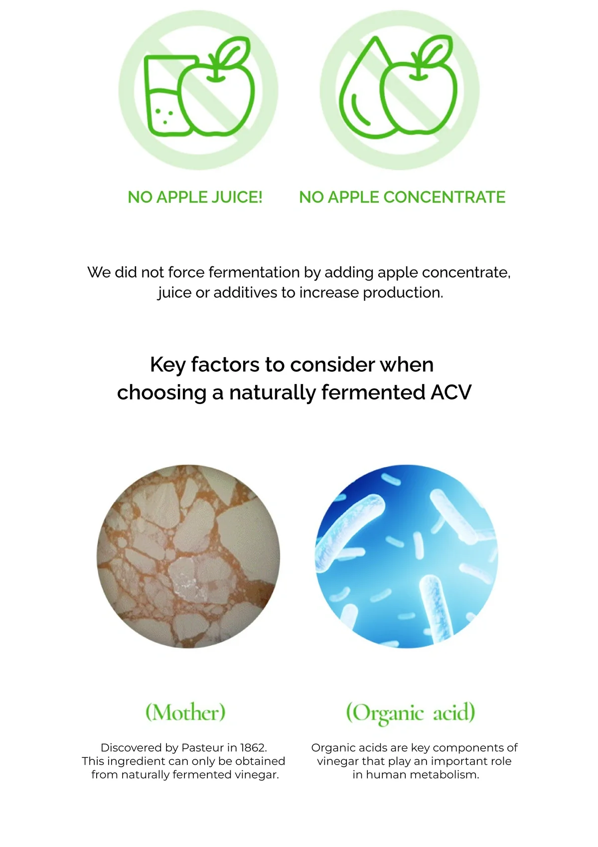 [FITANY] Granny Smith Skinny ACV Gummy (1 Box = 50g x 4 packets) - Image 19