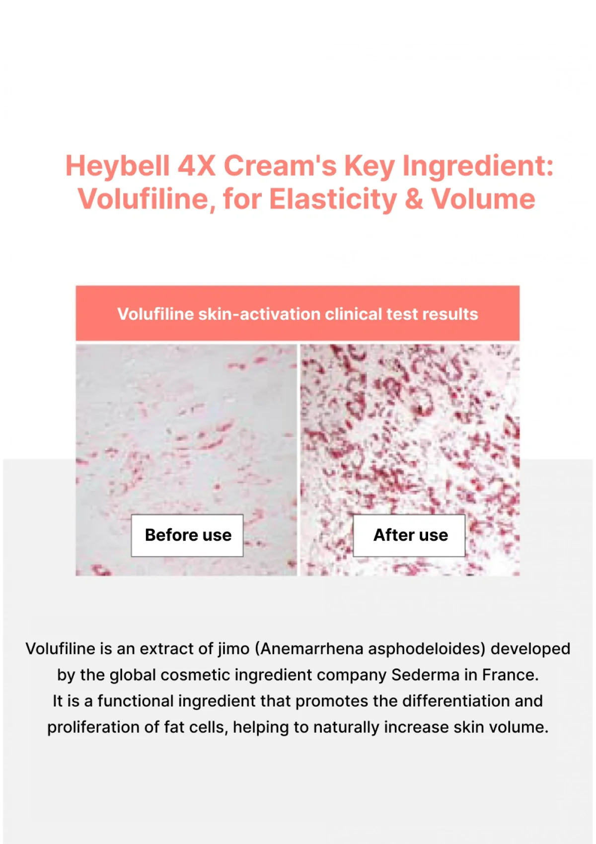 [HEYBELL] Cur.B 4X Breast Cream 100ml | Pills 4X (1 Box = 600mg x 60 Tablets) - Image 33