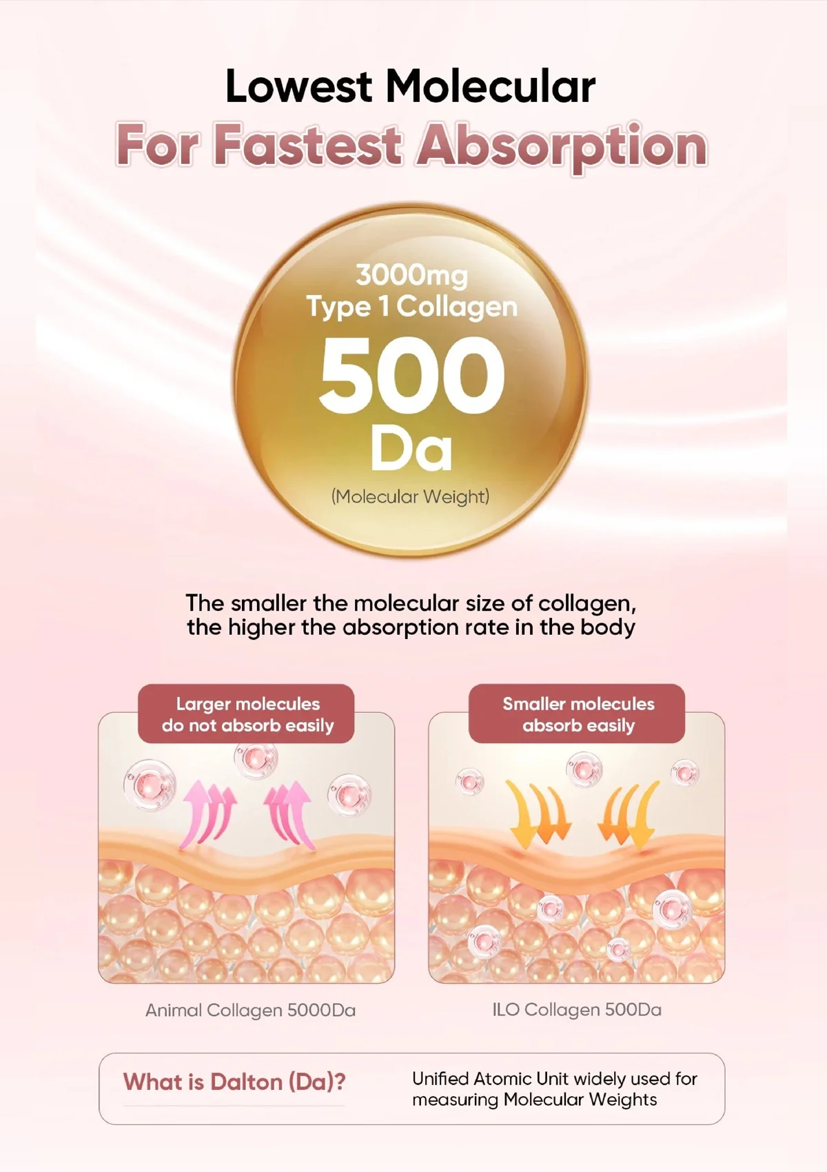 [ILO] Olive Young Bestseller Collagen Biotin Ampoule (1 Box = 25ml × 28 Bottles) - Image 10