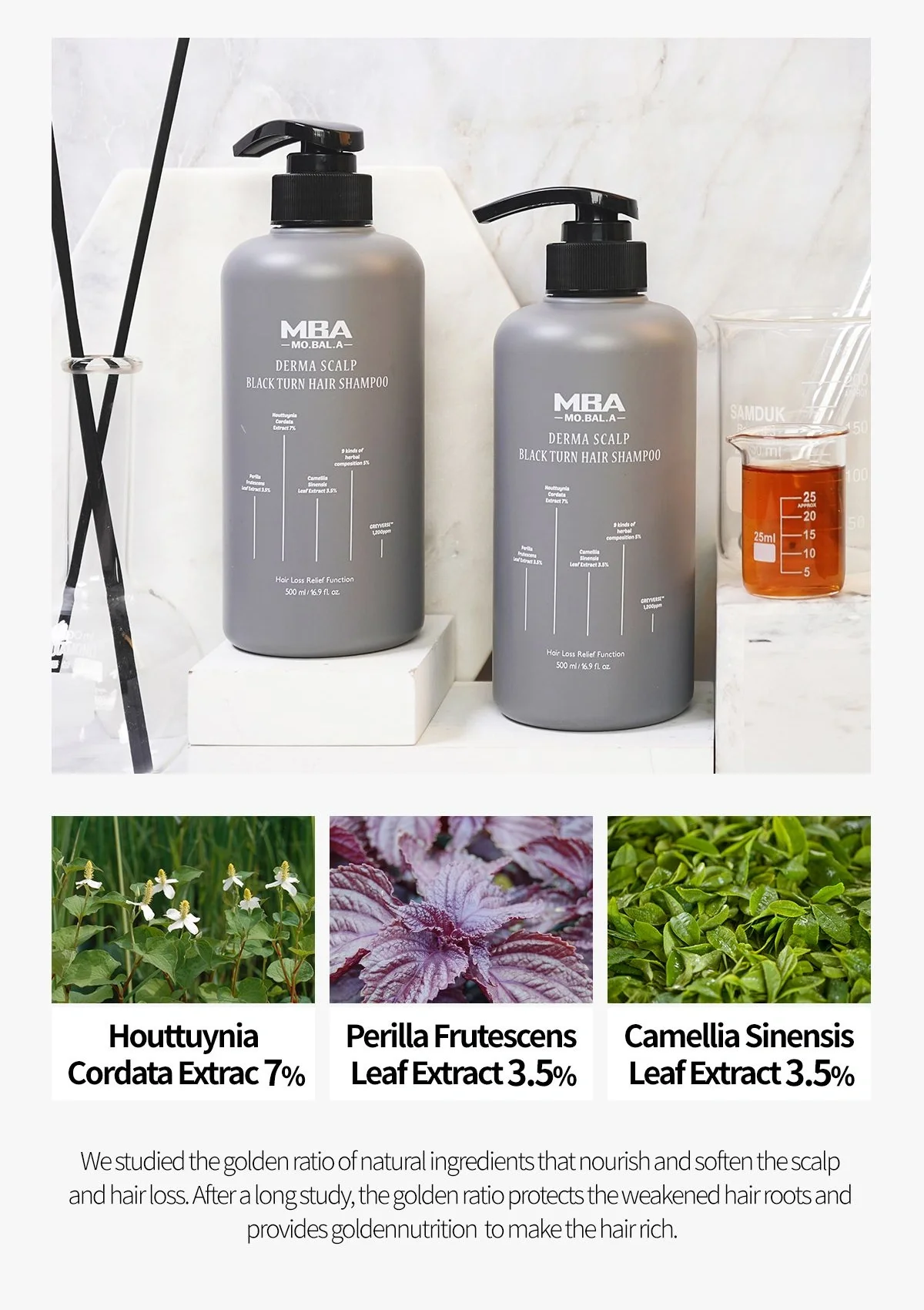 [MBA] Derma Black Turn & Protein Hair Shampoo 500ml - Image 16