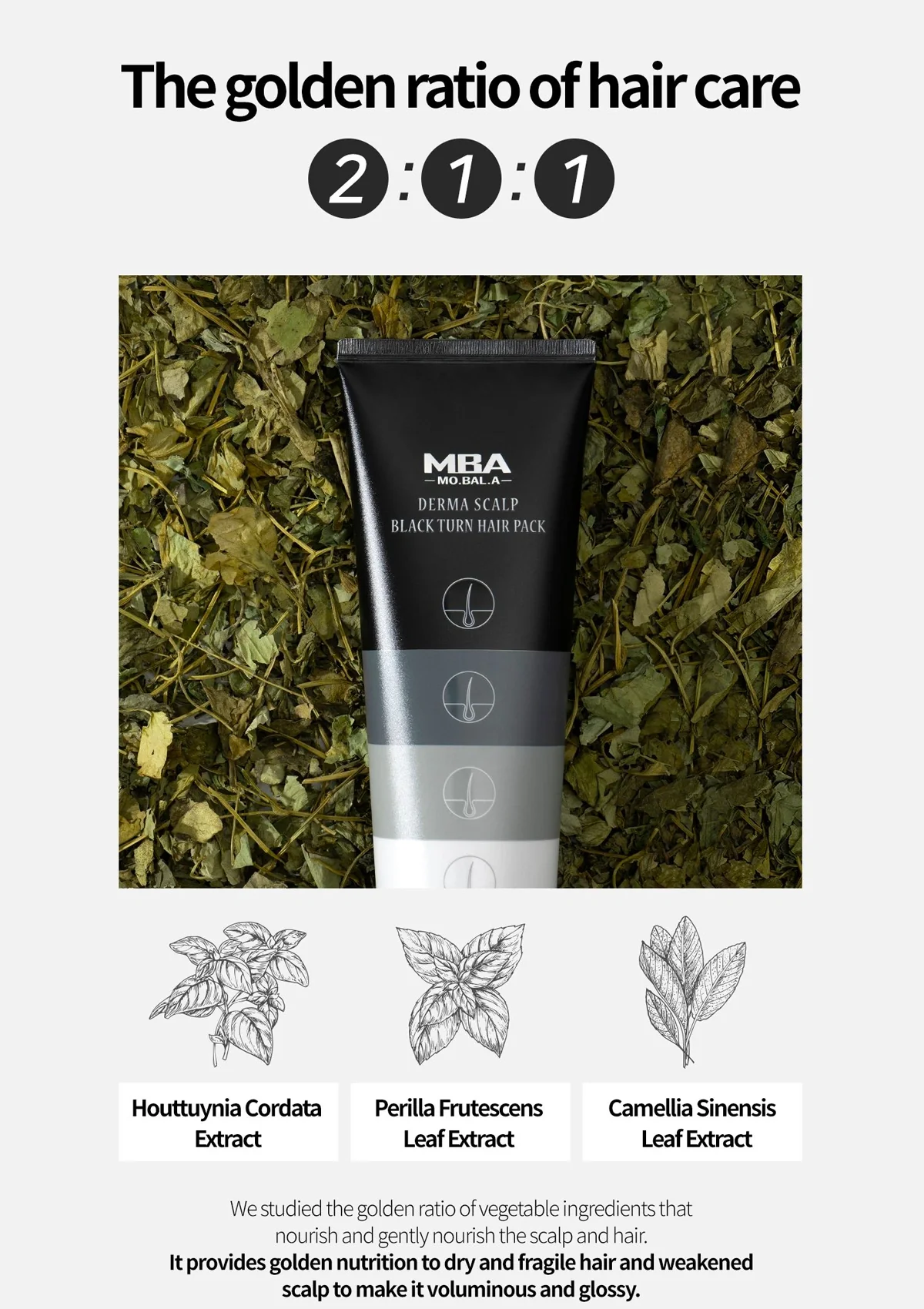 [MBA] Derma Scalp Hair Pack 270ml - Image 13