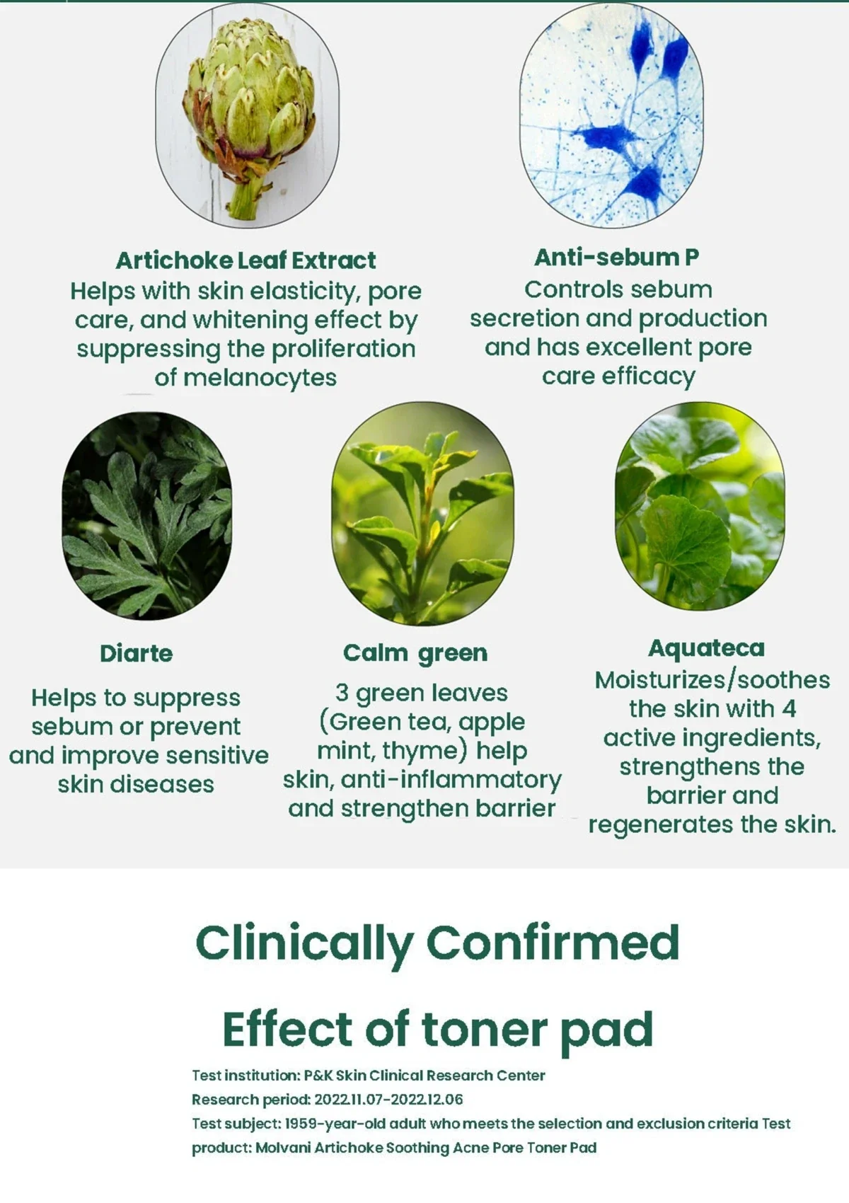 [MOLVANY] Artichoke Soothing Acne Pore Toner Pad 160ml (70 Pads) - Image 5