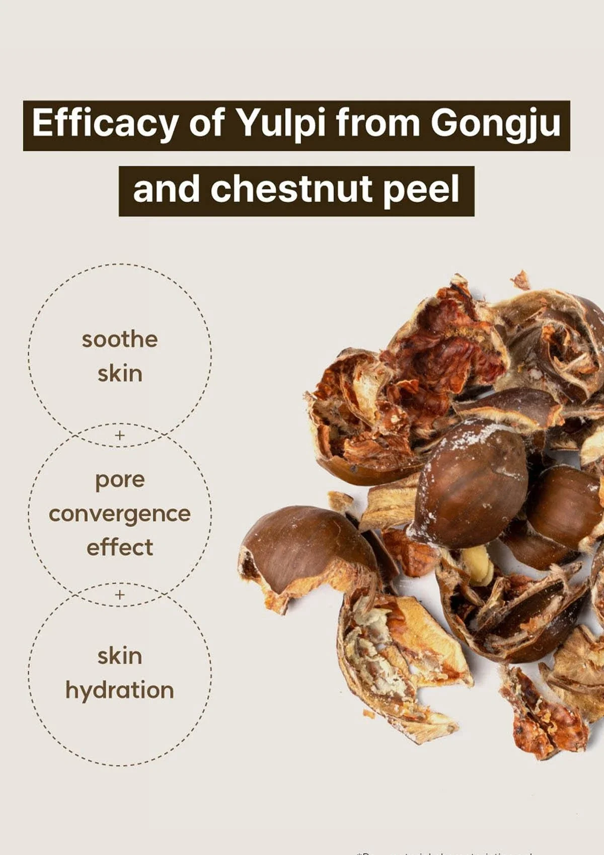 [MOLVANY] Castanea Crenata Inner Shell Pore Tightening Serum 50ml - Image 13