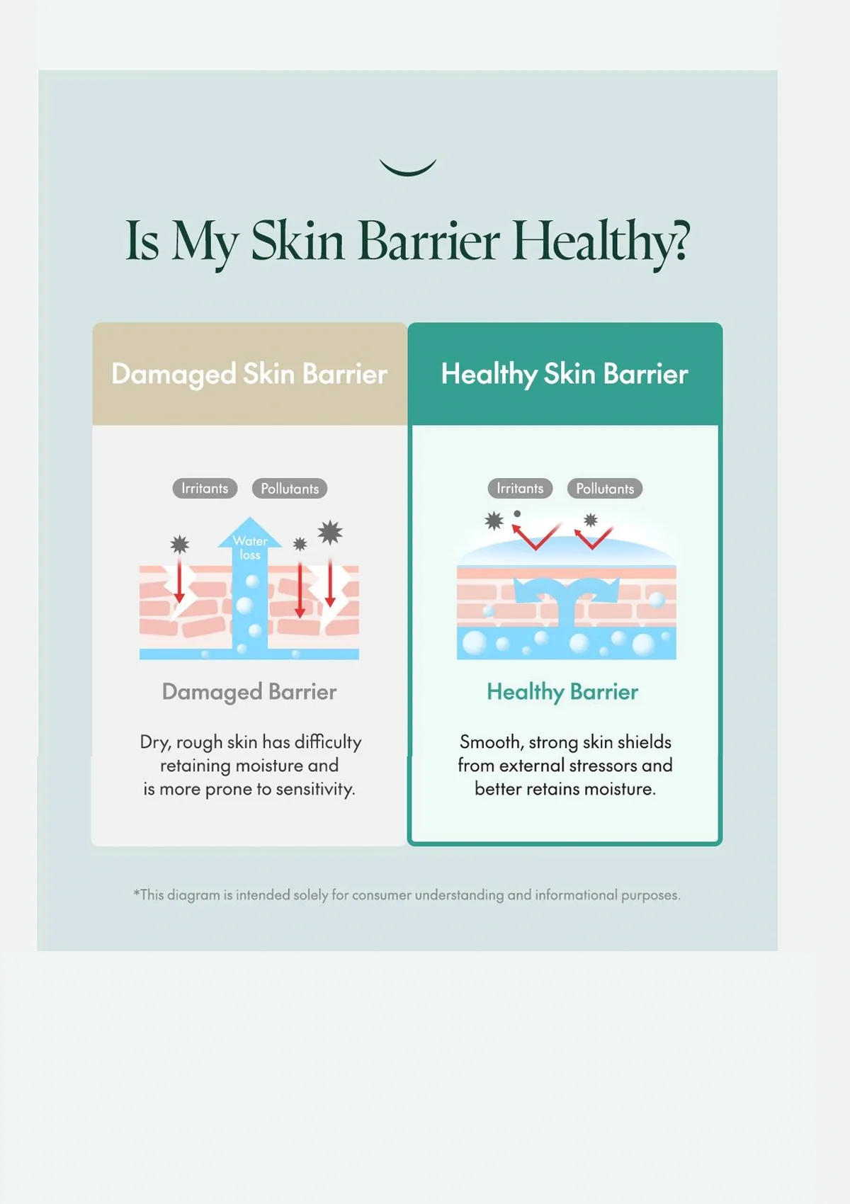 [PURITO SEOUL] Mighty Bamboo Panthenol Cream 100ml - Image 6