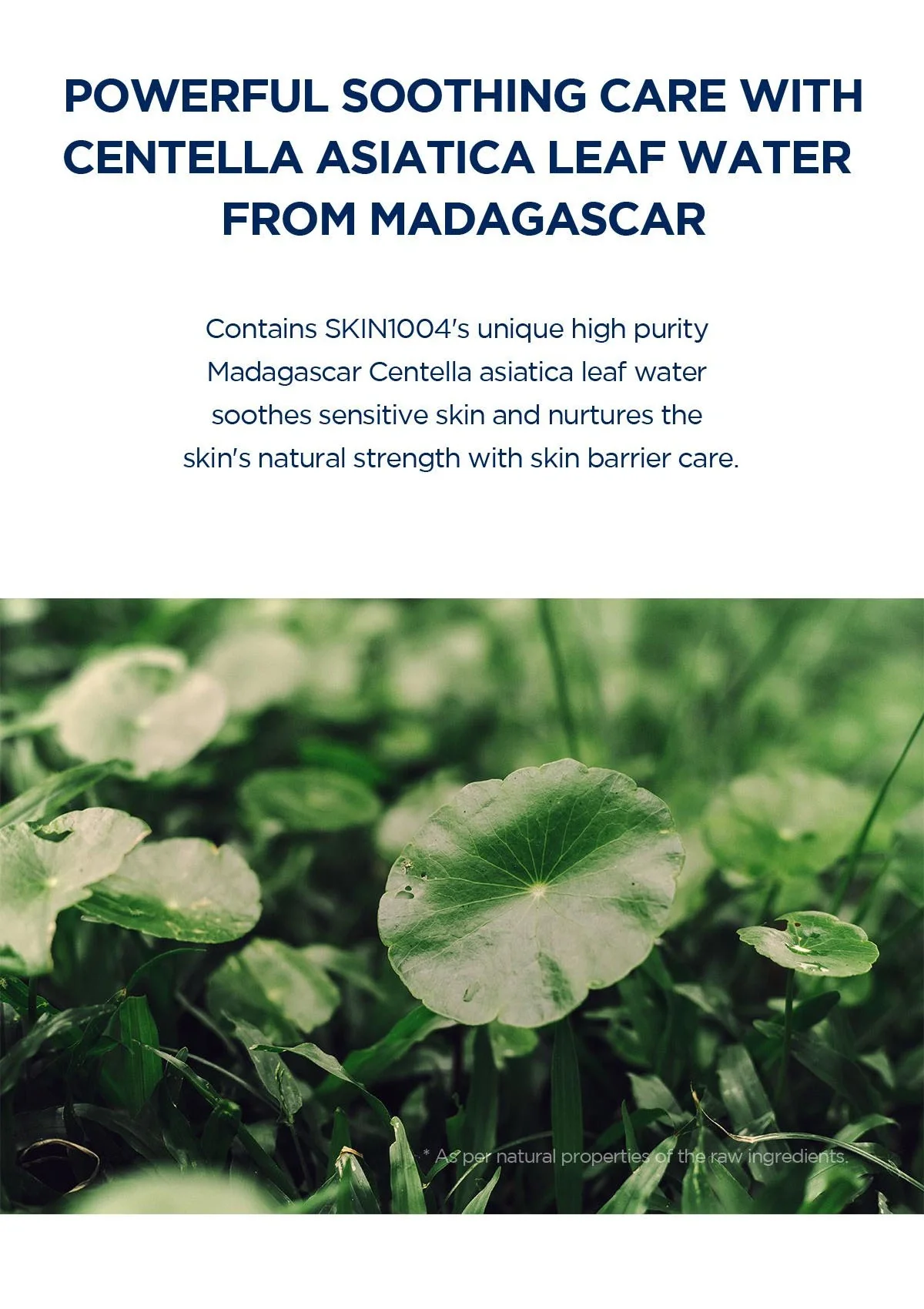 [SKIN1004] Madagascar Centella Hyalu-Cica Blue Serum 50ml - Image 8