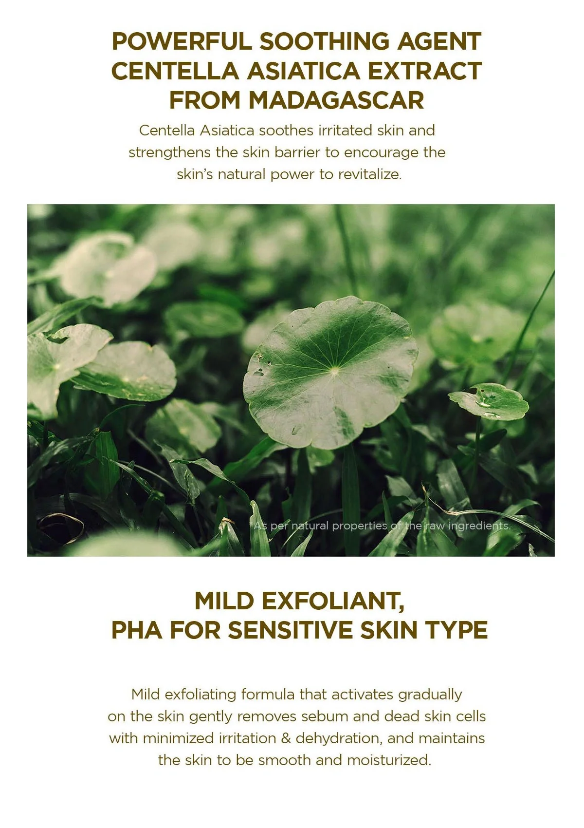 [SKIN1004] Madagascar Centella Toning Toner 210ml | 400ml - Image 7