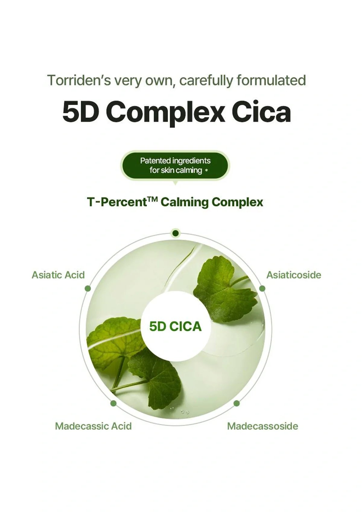 [TORRIDEN] Balanceful Cica Cream 80ml - Image 10