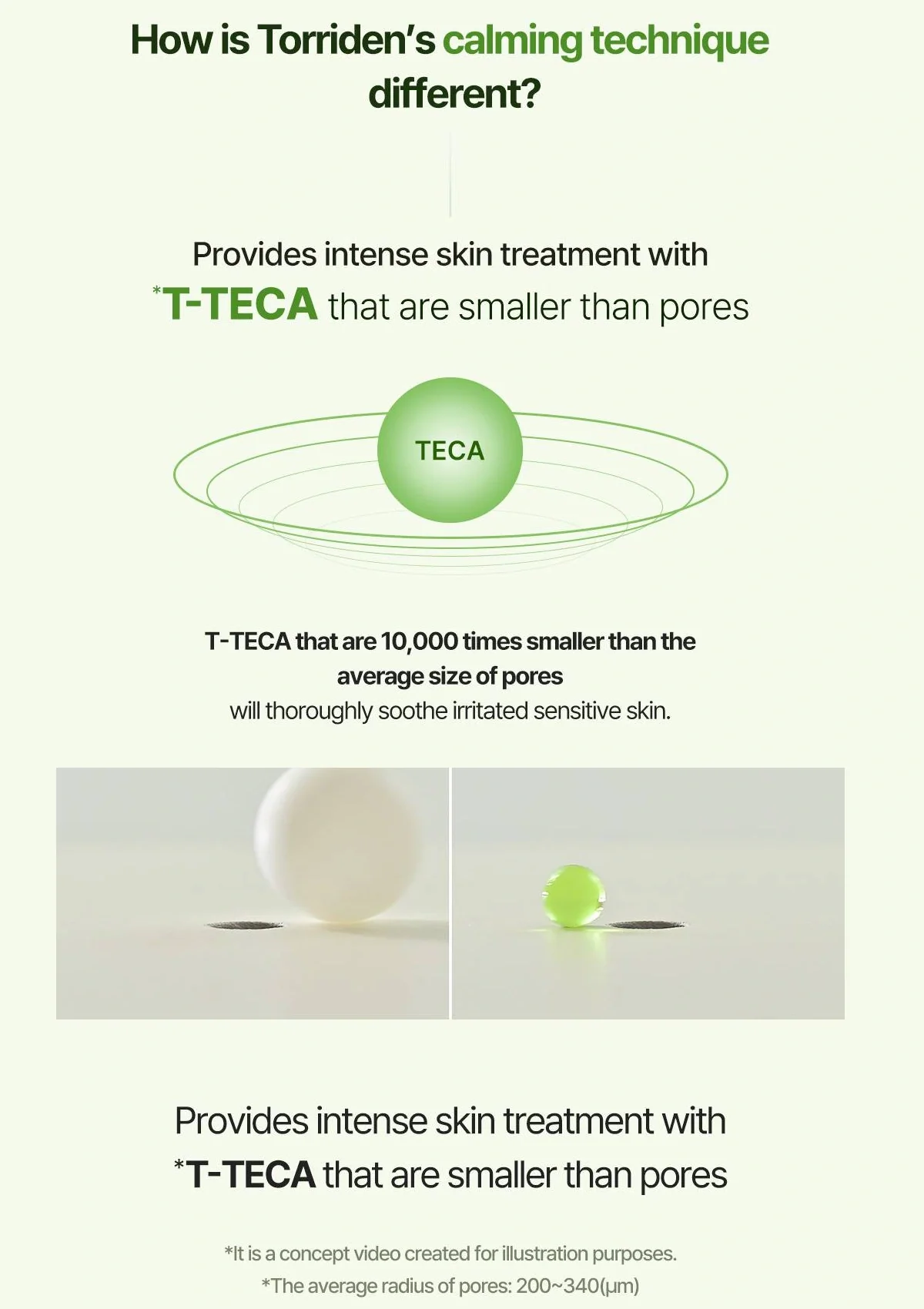 [TORRIDEN] Balanceful Cica Cream 80ml - Image 11
