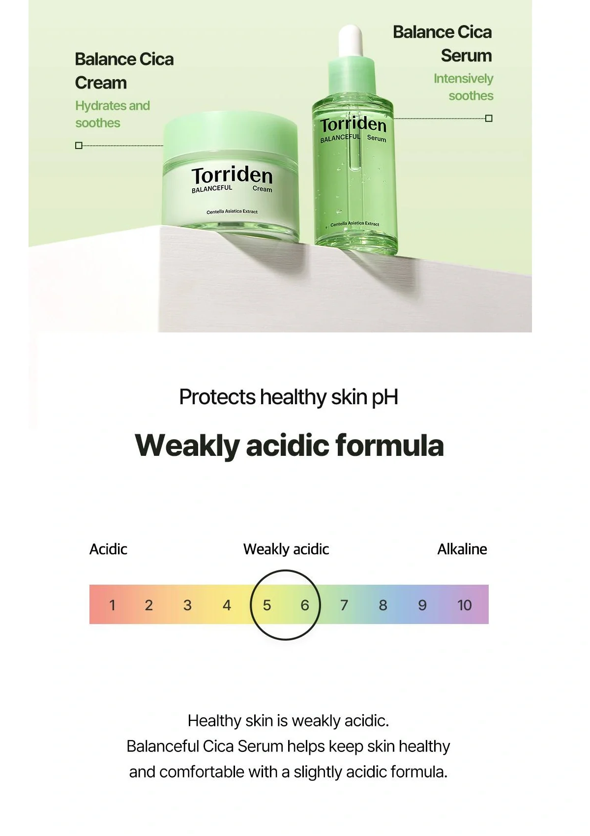 [TORRIDEN] Balanceful Cica Cream 80ml - Image 19